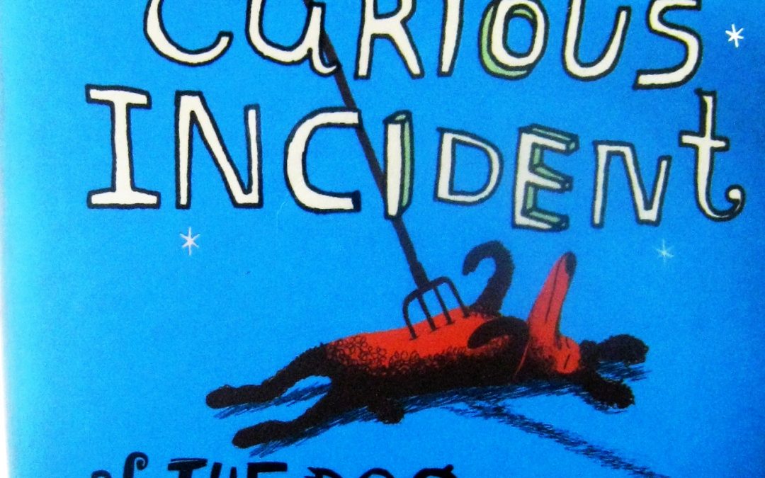 On Writing: The Curious Incident of the Dog in the Night Time