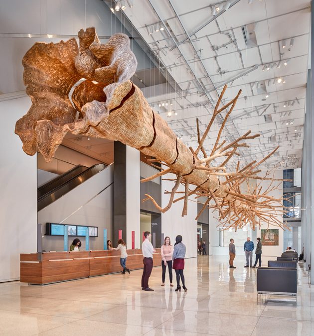 A Tree — at the Seattle Art Museum