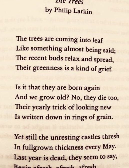 Poem: The Trees, Philip Larkin