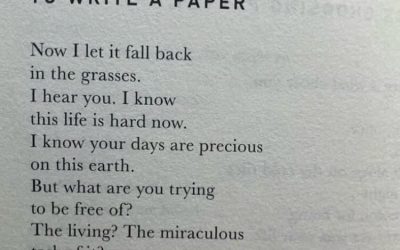 Poem: For the Student Who Used AI to Write a Paper